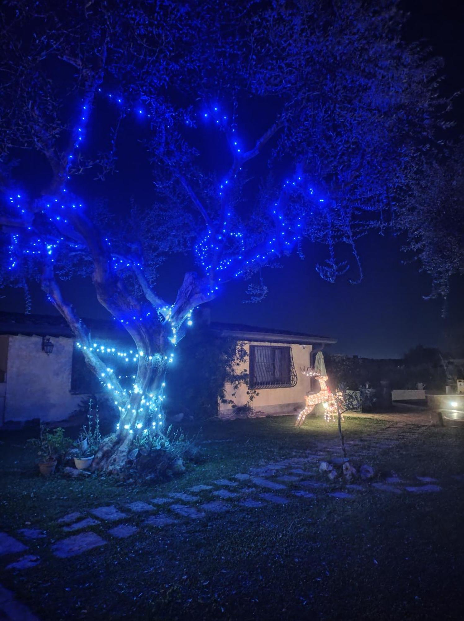 La Valle Dei Casali Com Rom Exterior foto