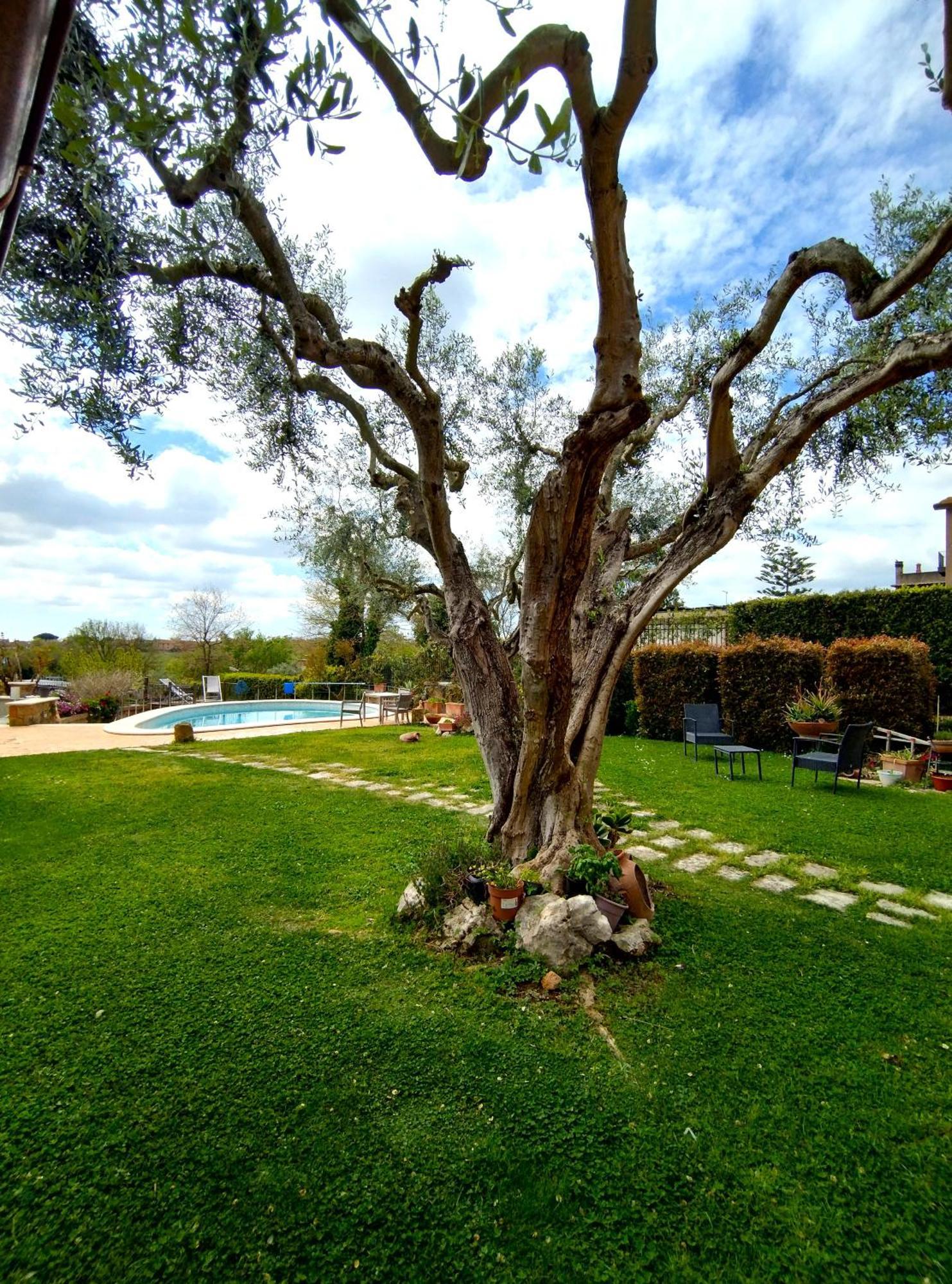 La Valle Dei Casali Com Rom Exterior foto